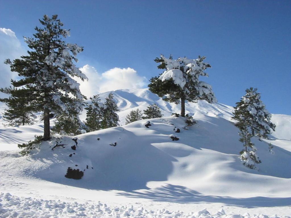 شقة Etna Snow&Sea بيديمونتي إتنيو المظهر الخارجي الصورة